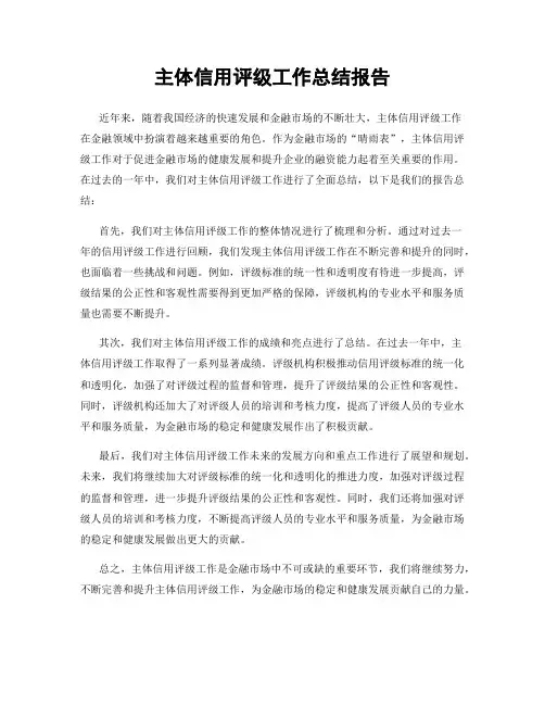 主体信用评级工作总结报告