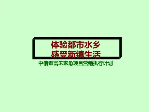 朱家角中信泰富营销提案