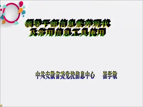 领导干部信息素养研究