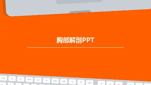 胸部解剖PPTPPT课件