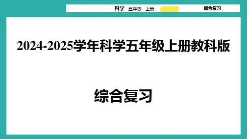 教科版2024-2025学年科学五年级上册综合复习练习课件(共55张PPT).ppt