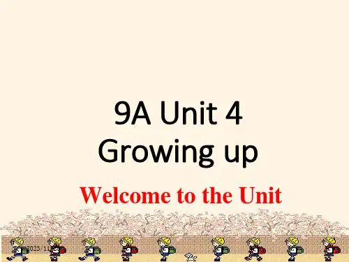 译林版九年级上册英语ppt课件：--unit-4-Welcome