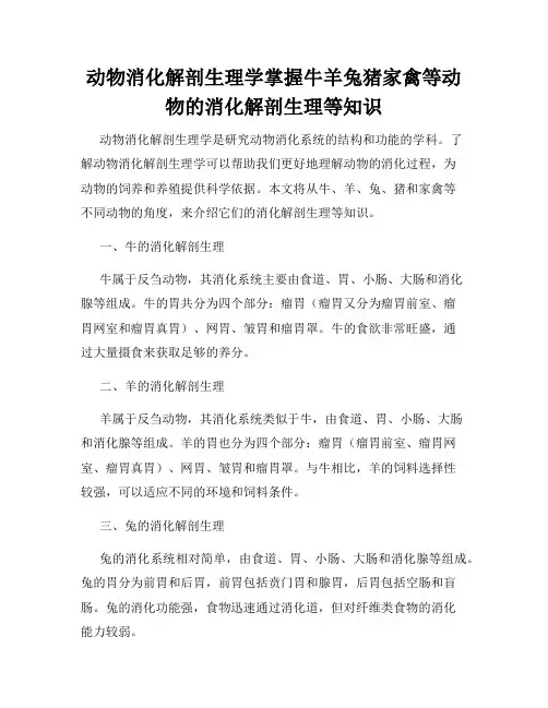 动物消化解剖生理学掌握牛羊兔猪家禽等动物的消化解剖生理等知识