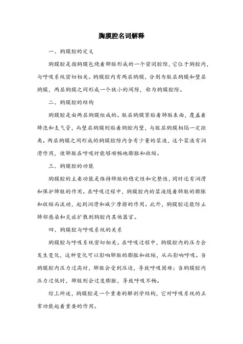 胸膜名词解释解剖学