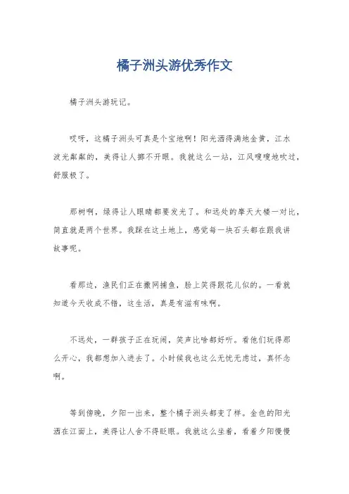 橘子洲头游优秀作文