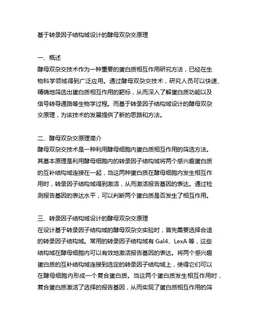 基于转录因子结构域设计的酵母双杂交原理