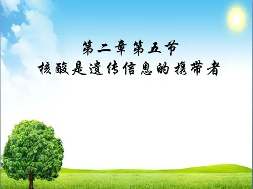 核酸是遗传信息的携带者(共17张PPT)