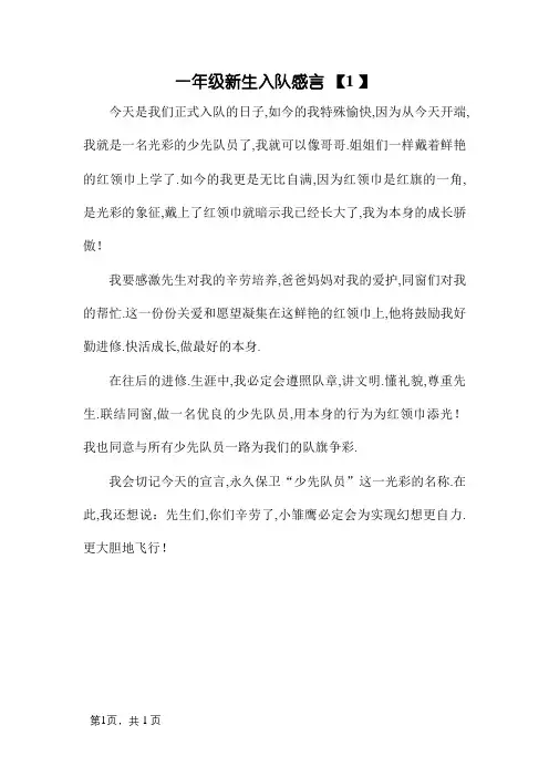 一年级新生入队感言