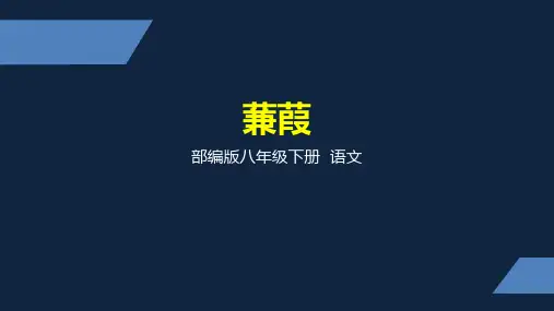 部编版语文八年级下册《蒹葭》课件PPT