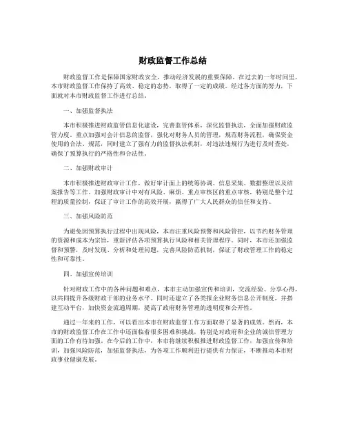 财政监督工作总结