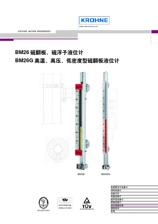 克罗尼BM26磁翻版液位计说明书