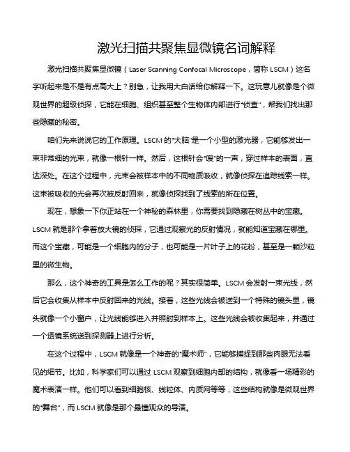 激光扫描共聚焦显微镜名词解释