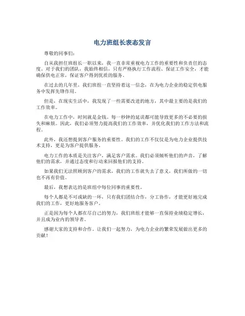 电力班组长表态发言