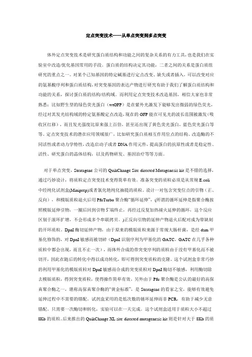 定点突变技术——从单点突变到多点突变
