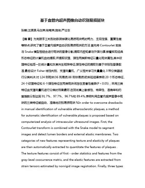 基于血管内超声图像自动识别易损斑块
