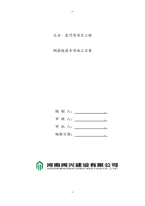 钢筋植筋专项施工方案