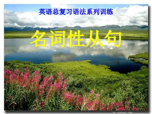 英语语法：名词性从句-40页精选文档