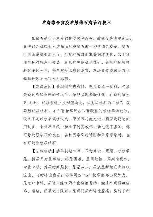 羊病综合防疫羊尿结石病诊疗技术