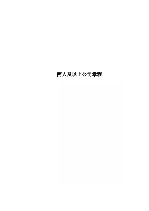 两人及以上公司章程
