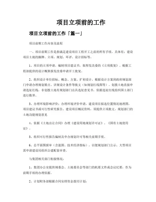 项目立项前的工作