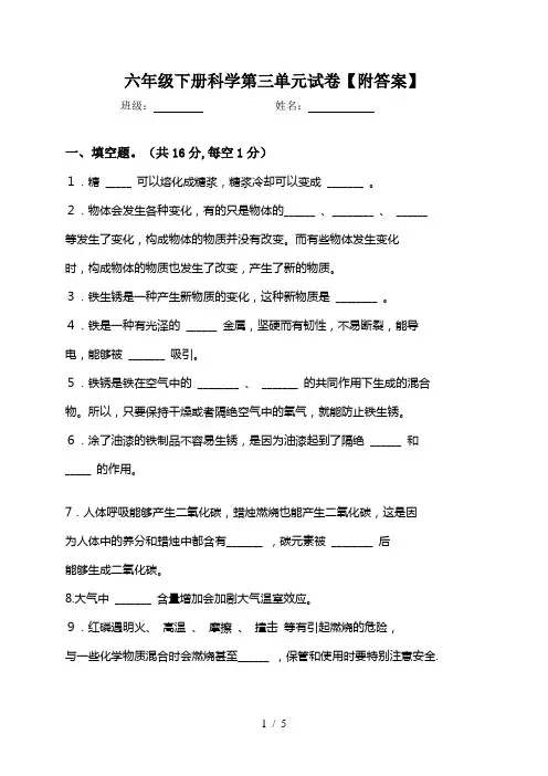 第三单元试题及答案(大象版六年级下册科学第三单元试卷)