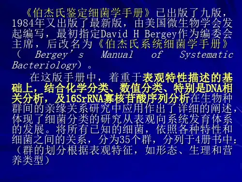 伯杰氏鉴定细菌学手册