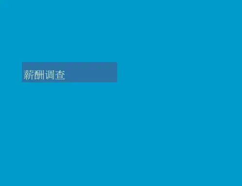 6第六章薪酬调查