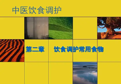 饮食调护常见食物粮谷类精品PPT课件