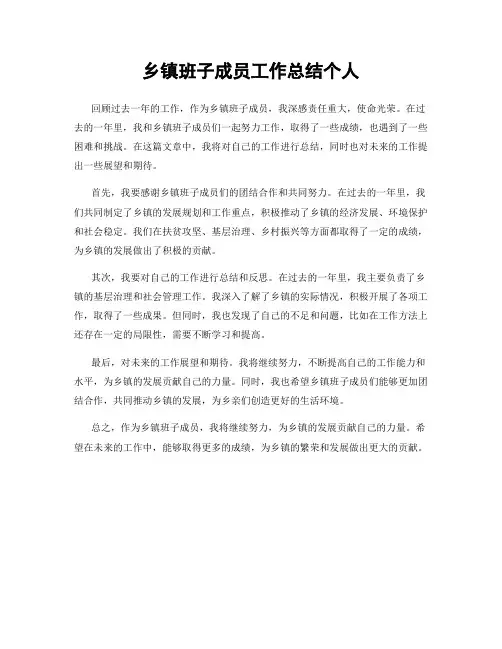 乡镇班子成员工作总结个人