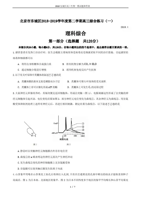2019东城区高三生物一模试题和答案