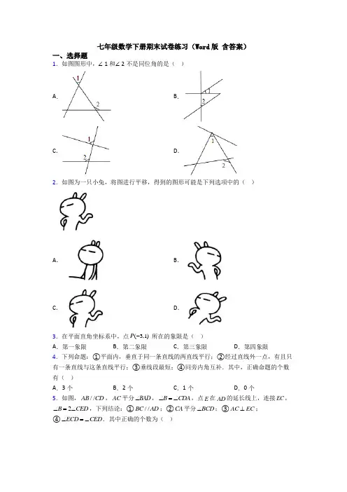 七年级数学下册期末试卷练习(Word版 含答案)
