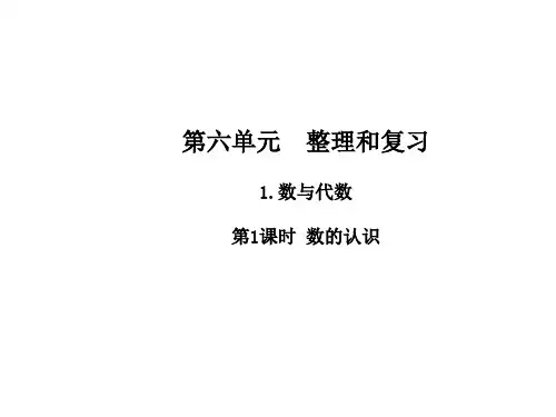 (公开课课件)六年级下册数学《数与代数》(共11张PPT)