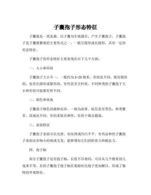 子囊孢子形态特征