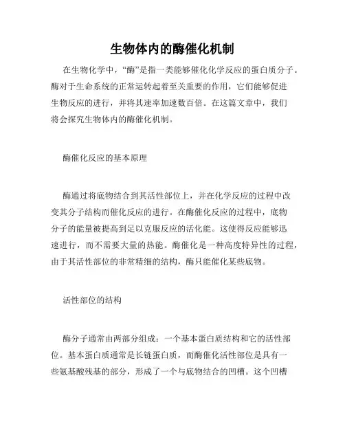 生物体内的酶催化机制