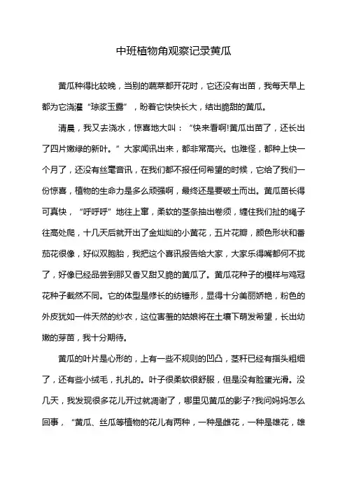 中班植物角观察记录黄瓜