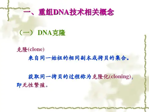 重组DNA技术ppt课件