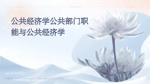 公共经济学公共部门职能和公共经济学