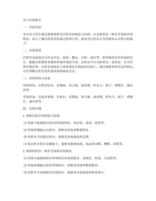 沉积岩实习实验报告