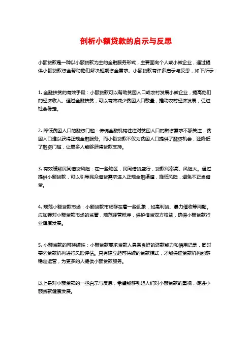 剖析小额贷款的启示与反思