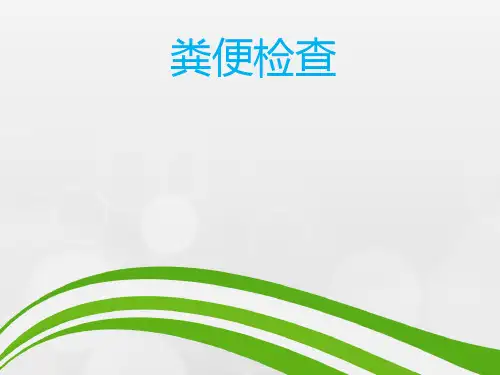 粪便检查PPT