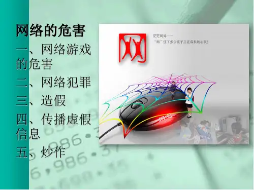 网络的危害及其案例