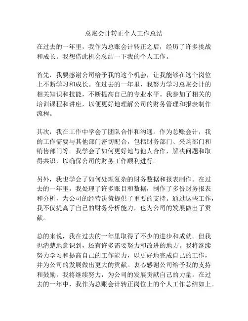 总账会计转正个人工作总结