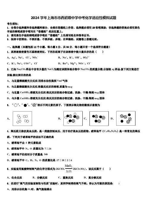 2024届上海市市西初级中学中考化学适应性模拟试题含解析