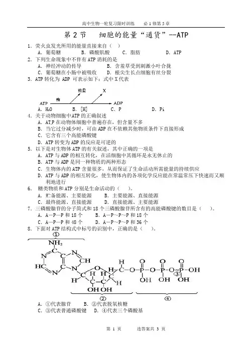 1-5-2(练习)细胞的能量“通货”--ATP