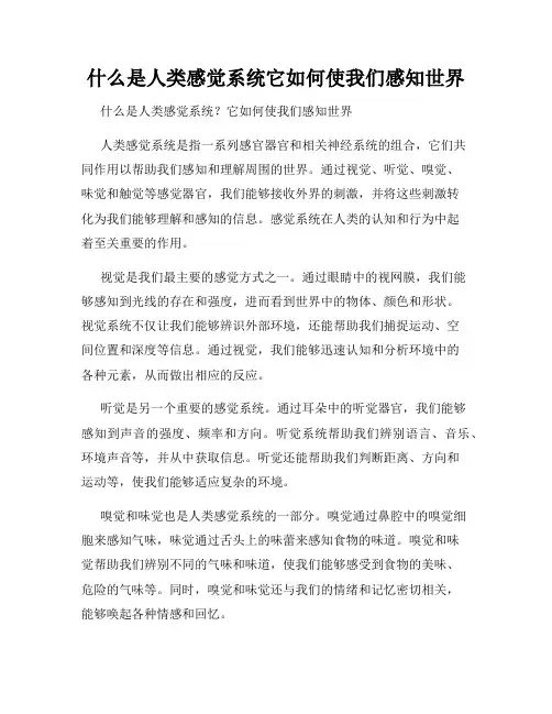 什么是人类感觉系统它如何使我们感知世界