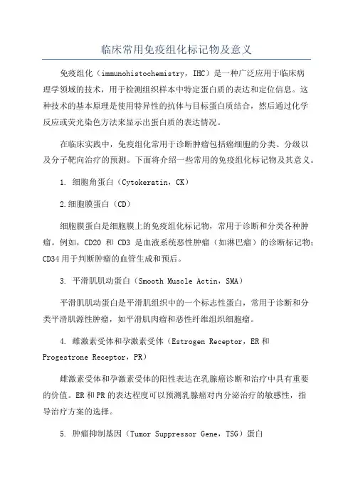 临床常用免疫组化标记物及意义
