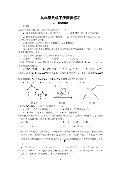 6.6 图形的位似同步练习 2022-2023学年苏科版数学九年级下册