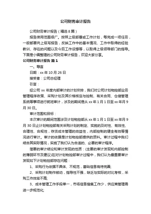 公司财务审计报告（精选8篇）