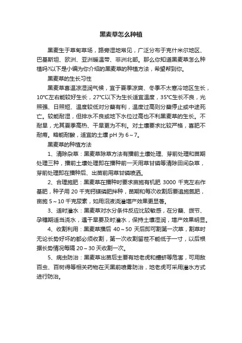 黑麦草怎么种植