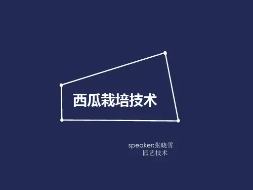 西瓜的栽培技术精品PPT课件